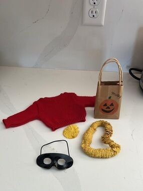 Pleasant company Molly America girl Halloween costume